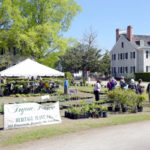plant_sale_2