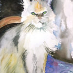Cattitude