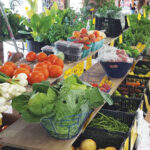 farmers market