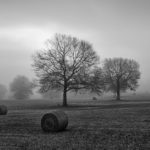 photo_exhibit