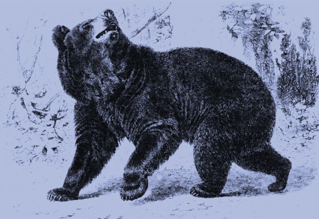 Defense of New Bern’s First Casualty