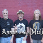 4 asses