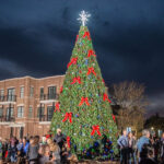 christmas tree lighting
