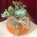pumpkin2