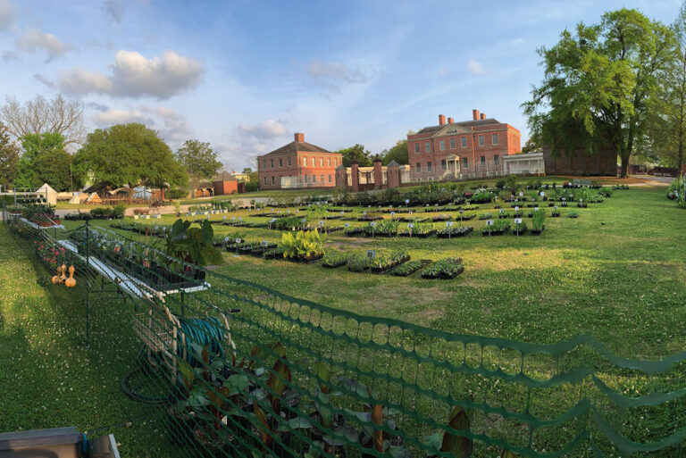 Spring in the Tryon Palace Gardens