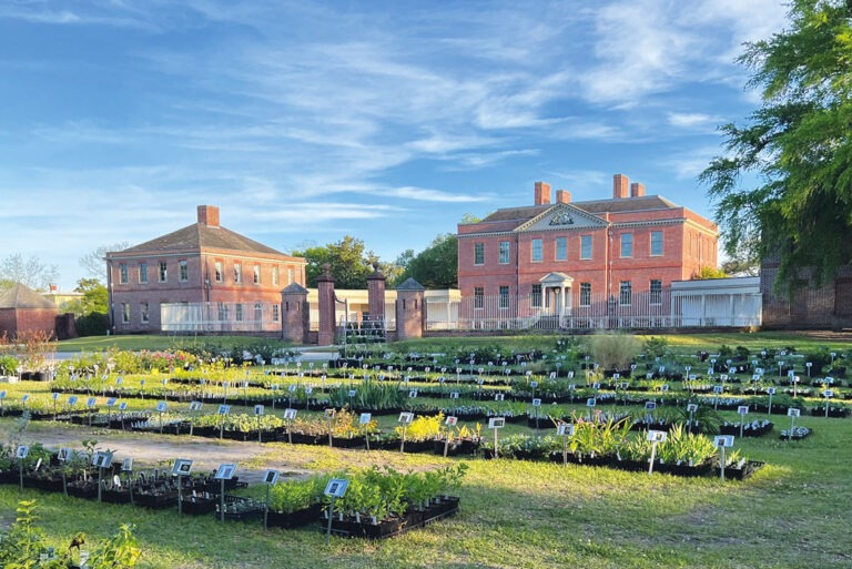 Welcome Fall in the Tryon Palace Gardens