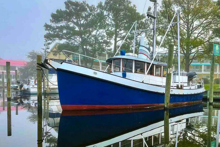 Oriental’s Anniversary Celebration