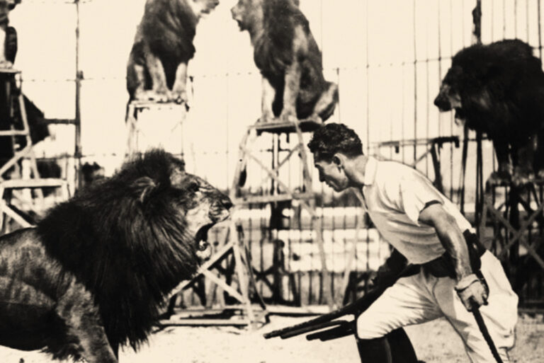 The Circus Comes to Town! 1960