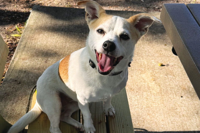 Ellie Mae