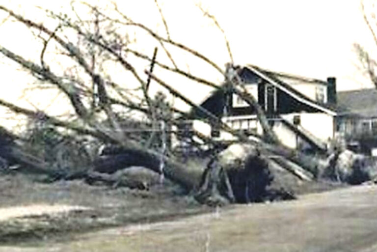 Childhood Hurricane Memories